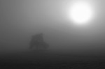 Morgennebel bei Cramberg