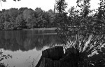 Am Herthasee