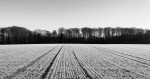 In der Nähe von Steinfischbach