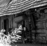 Im Spreewald