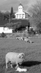 Oberneisen