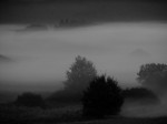 Morgennebel bei Montabaur